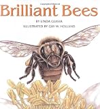 Brilliant Bees