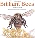 Books : Brilliant Bees