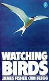 Watching birds