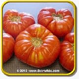 51bg7fICHwL. SL160  Heirloom Tomato Seeds   Brandywine Red Vegetable Seed Packet