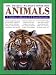 Books : The Amazing Wildlife Book Box Animals