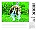 2016 Just Basset Hounds Box Calendar