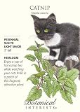 Catnip Seeds - 750 mg - Nepeta