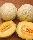 Hales Best Jumbo Cantaloupe Seeds - Cucumis Melo - 1 Grams - Approx 35 Gardening Seeds - Vegetable Garden Seed