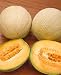 Hales Best Jumbo Cantaloupe Seeds - Cucumis Melo - 1 Grams - Approx 35 Gardening Seeds - Vegetable Garden Seed