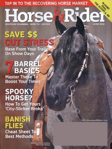 Horse & Rider