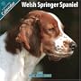 Welsh Springer Spaniel 2010 Wall Calendar #10119-10