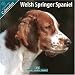 Welsh Springer Spaniel 2010 Wall Calendar #10119-10