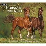 (12x12) Horses 16-Month 2012 Wall Calendar