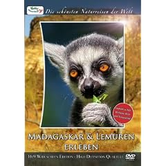 Die sch�nsten Naturreisen der Welt: Madagaskar & Lemuren erleben