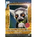 Die sch�nsten Naturreisen der Welt: Madagaskar & Lemuren erleben
