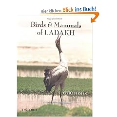 Birds & Mammals of Ladakh