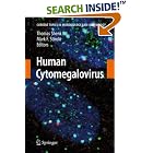 Click here to buy Human Cytomegalovirus (Current Topics in Microbiology and Immunology) (Current Topics in Microbiology and Immunology) by  Thomas E. Shenk and Mark F. Stinski.