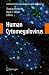 Book Human Cytomegalovirus (Current Topics in Microbiology and Immunology)