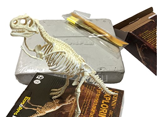 【mofu・mofu】 化石発掘体験 骨格標本 発掘セット ティラノ ザウルス 骨格 標本 化石 夏休み 工作 宿題に 恐竜化石発掘キット