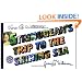 Stringbean's Trip to the Shining Sea (Mulberry Books)