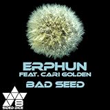 Bad Seed (Original Mix)
