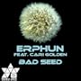 Bad Seed (Original Mix)