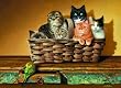 A Bushel and a Peck 500+pc Jigsaw Puzzle by Braldt Bralds