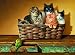 A Bushel and a Peck 500+pc Jigsaw Puzzle by Braldt Bralds
