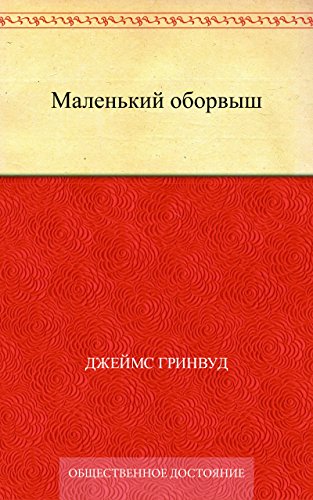 Маленький оборвыш (Russian Edition)