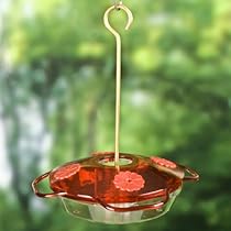 Droll Yankees LF3 Hummingbird Feeder with Internal Ant Moat