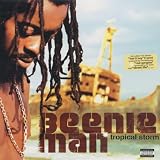 Tropical Storm [Vinyl]