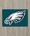 Philadelphia Eagles Nylon Fan Banner