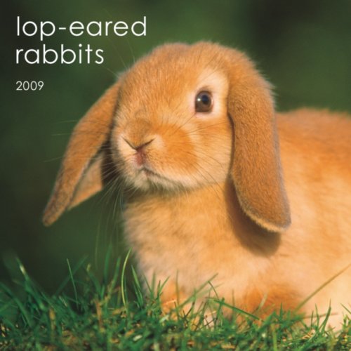Lop-Eared Rabbits 2009 Square Wall Calendar (Multilingual Edition)