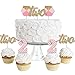 2nd Birthday Girl - Two Much Fun - Dessert Cupcake Toppers - Second Birthday Party Clear Treat Picks - Set of 24