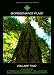 BioResonance Films for Stress Management, Relaxation and Consciousness Development, Volume TWO
