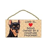 Miniature Pinscher Min Pin Door Sign 5x10 51bhwapGx8L. SL160 Miniature Pinscher Min Pin Door Sign 5x10