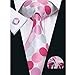 Hi-Tie Mens Pink Silk Jacquard Woven Tie Set Wedding Necktie