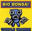 Canale Grande
