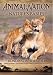 Animal Nation - Nature's Babies: Bonding in the Wild [DVD]