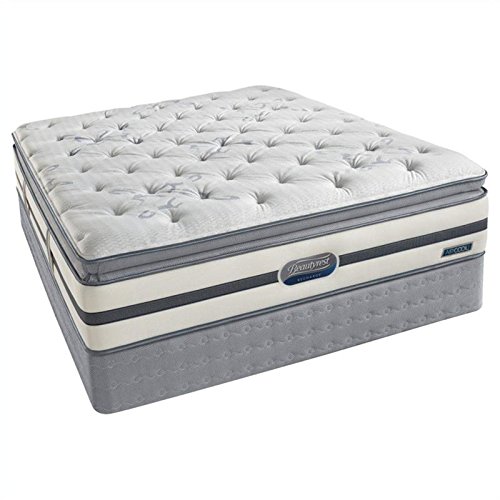 Where to buy Simmons BeautyRest Recharge Songwood Luxury Firm Pillow