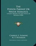 The Poison Parsnip Or Water Hemlock: A Plant Deadly To Live Stock In Nevada (1920)