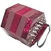 Bargain 30 Button Anglo Concertina