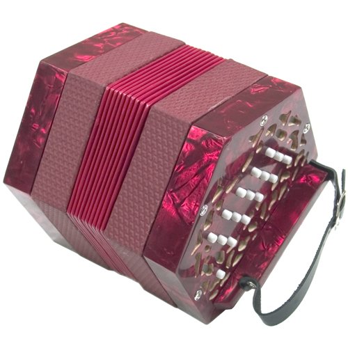Childrens Toyshop  Musical Instruments : Bargain 30 Button Anglo Concertina