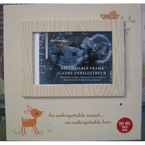 Hallmark Baby FRG7109 Recordable Sonogram Frame Baby