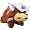 Texas Longhorns