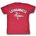 Back To The Future 1.21 Gigawatts DeLorean Adult Soft T-Shirt