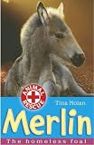 Merlin: The Homeless Foal (Animal Rescue): The Homeless Foal (Animal Rescue)