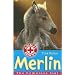 Merlin: The Homeless Foal (Animal Rescue)