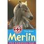 Merlin: The Homeless Foal (Animal Rescue)