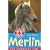 Merlin: The Homeless Foal (Animal Rescue)