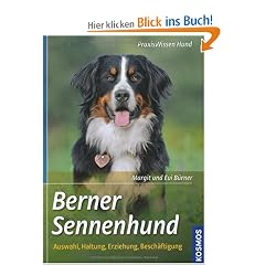 Berner Sennenhund: Auswahl, Haltung, Erziehung, Besch�ftigung