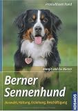 Berner Sennenhund: Auswahl, Haltung, Erziehung, Beschäftigung