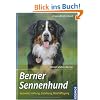Berner Sennenhund: Auswahl, Haltung, Erziehung, Besch�ftigung