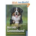 Berner Sennenhund: Auswahl, Haltung, Erziehung, Besch�ftigung